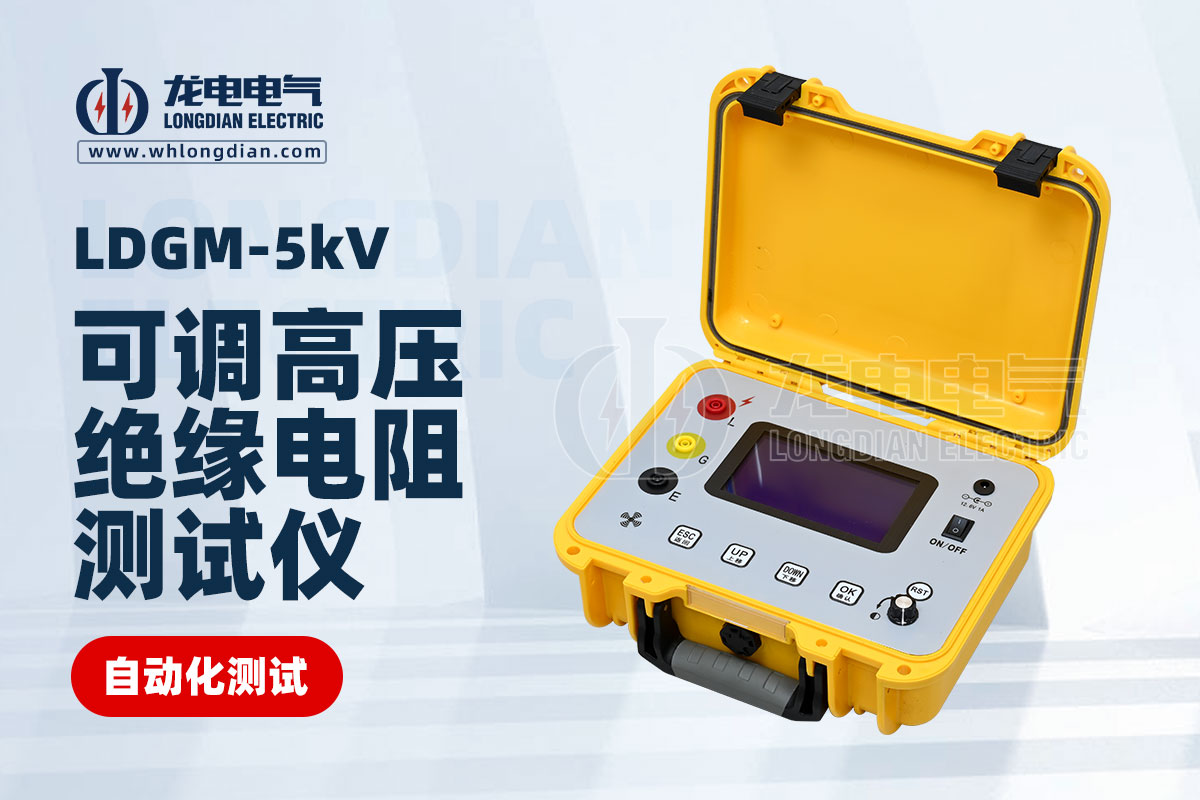 LDGM-5KV绝缘电阻测试仪